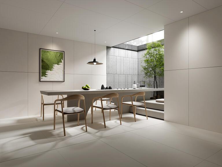 ARCTIC GREYISH WHITE