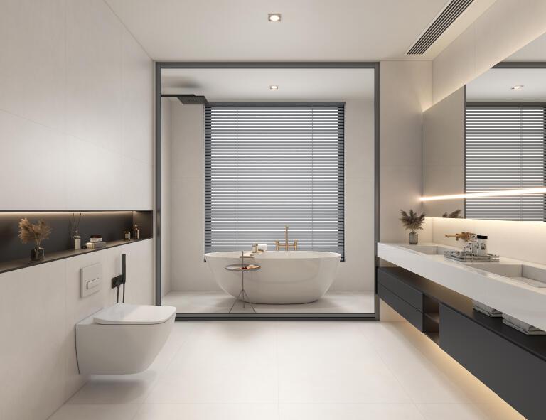 ARCTIC GREYISH WHITE